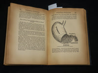 1938 EUGENICS AND SEX HARMONY HARDCOVER BOOK BY HERMAN RUBIN - KD 7522
