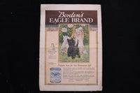 1919 JULY NEEDLECRAFT MAGAZINE - LADY WITH UMBRELLA COVER - E 9954