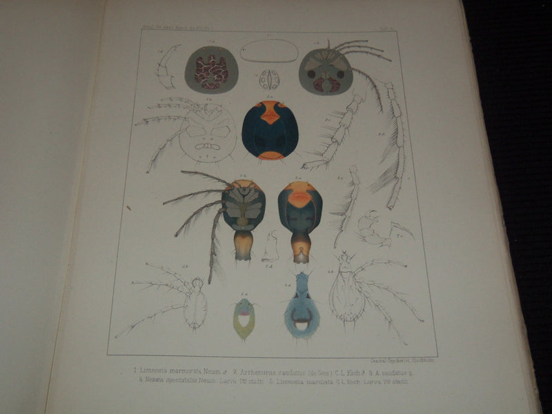 1877-1903 KONGLIGA SVENSKA SWEDISH VETENSKAPSAKADEMIENS VOLUMES LOT OF 8