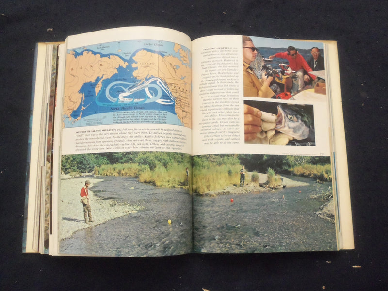 1969 WONDEROUS WORLD OF FISHES HARDCOVER BOOK -NATIONAL GEOGRAPHIC SOC.- KD 8270