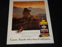1994 JULY TEXAS MONTHLY MAGAZINE - GEORGE JONES MARK CHESNUTT COVER - E 7514
