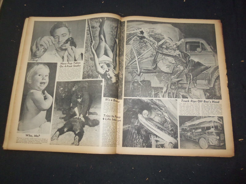 1966 JUNE 5 NATIONAL ENQUIRER NEWSPAPER - WHO TAMED THE TIGRESS? - NP 7415