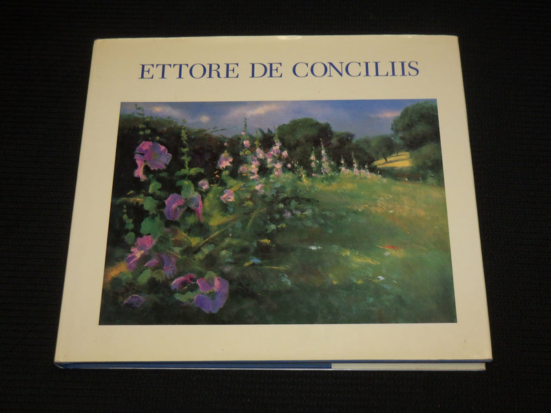1992 ETTORE DE CONCILIIS HARDCOVER BOOK BY DONELSON HOOPES & MARINI - R 726V