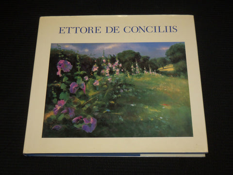 1992 ETTORE DE CONCILIIS HARDCOVER BOOK BY DONELSON HOOPES & MARINI - R 726V