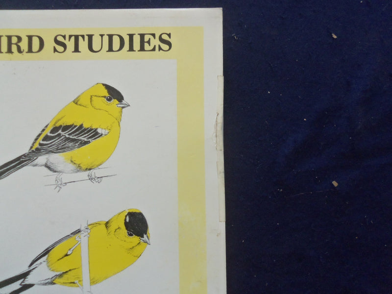 1986 BIRD STUDIES SOFTCOVER BOOK BY DAVID MOHRHARDT - KD 8204