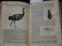 1850 COURS ELEMENTAIRE D'HISTOIRE NATURELLE FRENCH VOLUME - KD 7713