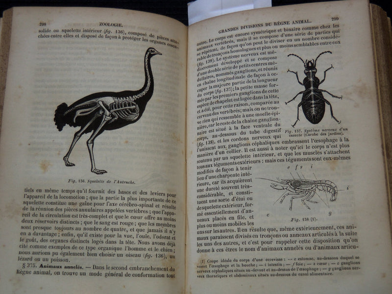 1850 COURS ELEMENTAIRE D'HISTOIRE NATURELLE FRENCH VOLUME - KD 7713