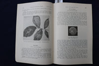 1935 INSECT PESTS OF ELMS IN CONNECTICUT SOFTCOVER BOOK - K 1413
