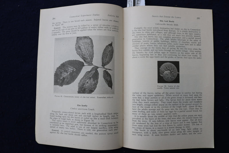 1935 INSECT PESTS OF ELMS IN CONNECTICUT SOFTCOVER BOOK - K 1413