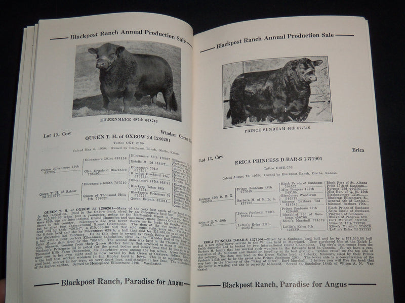 1952 BLACKPOST RANCH ANNUAL PRODUCTION SALE CATALOG - OLATHE KANSAS - J 9101