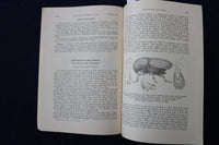 1935 INSECT PESTS OF ELMS IN CONNECTICUT SOFTCOVER BOOK - K 1413