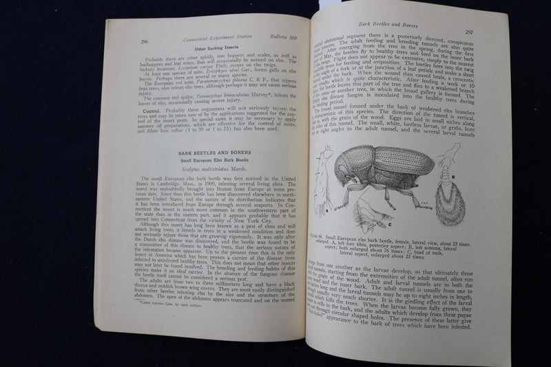 1935 INSECT PESTS OF ELMS IN CONNECTICUT SOFTCOVER BOOK - K 1413