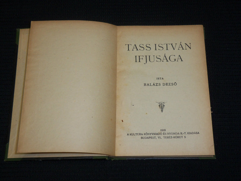 1918 TASS ISTVAN IF JUSAGA BOOK BY BALZAS DEZSO - HUNGARIAN - J 7034