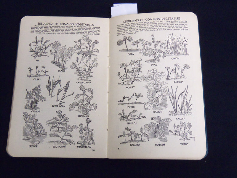 1944 HENDERSON'S GARDEN GUIDE AND RECORD - NEW YORK - J 8963