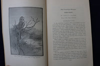1929 BIRD SONG SOFTCOVER BOOK BY ARETAS A. SAUNDERS-NEW YORK STATE MUSEUM- K 876