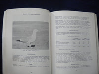 1979 ATLAS OF COLONIAL WATERBIRDS OF N.C. ESTUARIES SOFTCOVER -LOT OF 2- KD 8010