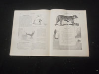 1916 MARCH 9 LIFE MAGAZINE - THE PARTY WIRE - L 762W