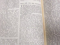 1926 SATURDAY REVIEW 2 BOUND VOLUMES - COMPLETE YR- PUBLISHED IN LONDON - R 1132