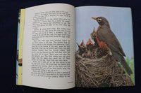 1950'S BIRDS & INSECT PARADE SOFTCOVER BOOKS BY BERTHA PARKER - LOT OF 2- K 1376