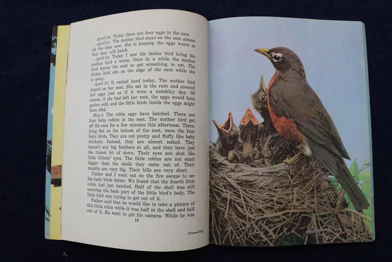 1950'S BIRDS & INSECT PARADE SOFTCOVER BOOKS BY BERTHA PARKER - LOT OF 2- K 1376