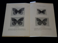 1914 OUR COMMON BUTTERFLIES BOOK BY FRANK E. LUTZ - LEAFLET NO. 38 - J 7301