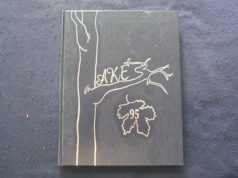 1995 LAKES MOUNTAIN LAKES HIGH SCHOOL YEARBOOK - MOUNTAIN LAKES, NJ - YB 1927H