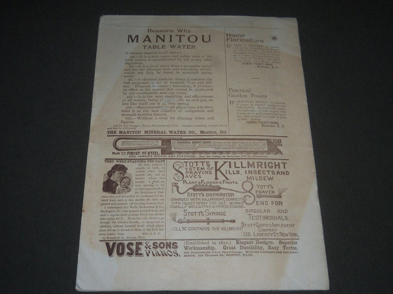 1893 JUNE VICK'S ILLUSTRATED MONTHLY MAGAZINE - ROCHESTER NEW YORK - J 2564