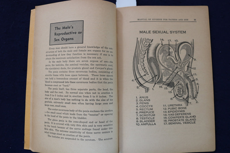 1948 FATHER AND SON MANUAL OF HYGIENE SOFTCOVER BOOK - K 1326