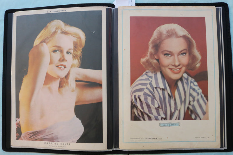 MOVIE STAR SCRAPBOOK - SUZANNE PLESHETTE - DORIS DAY - #38