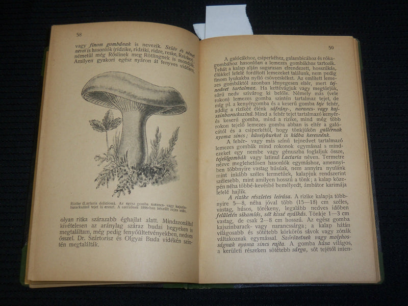 1921 AZ EHETO GOMBAK HARDCOVER BOOK BY DR. BERNATSKY JENO - J 7027