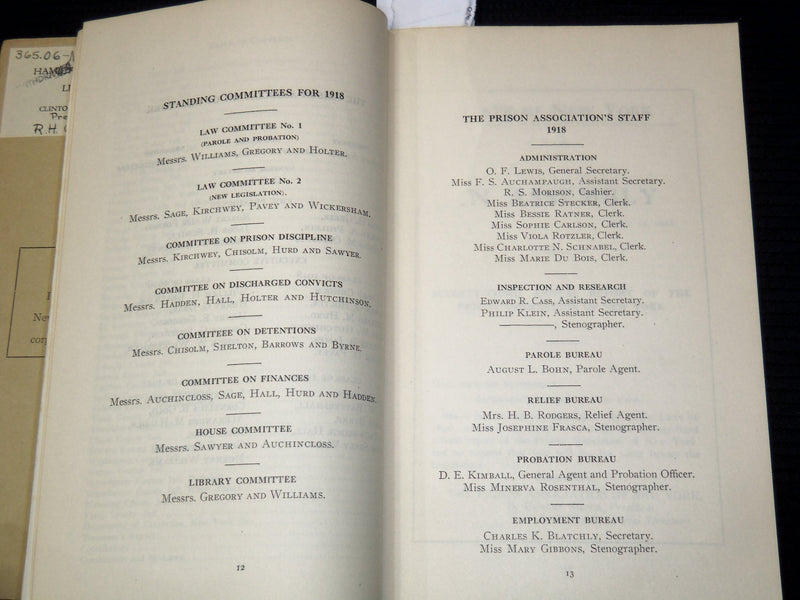 1917 NEW YORK TREATMENT OF DELINQUENTS -73RD ANNUAL PRISON ASSOC. REPORT- K 2701