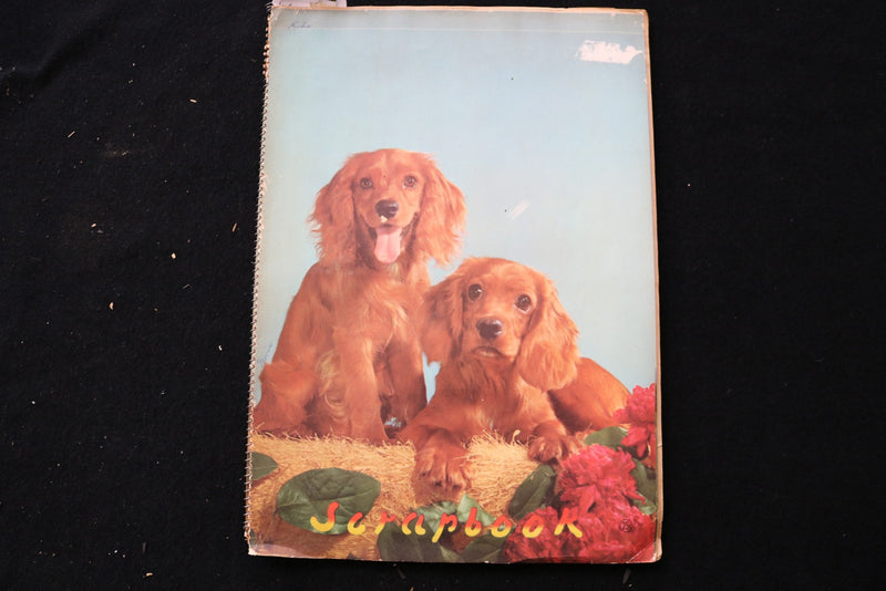 1940'S-1950'S MOVIE STARS SCRAPBOOK - GENE AUTRY - GINGER ROGERS - E 24881