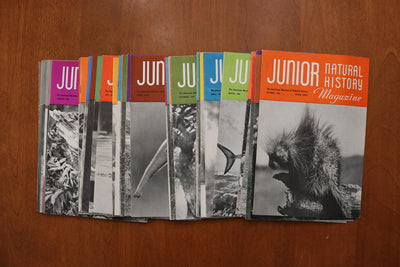 1946-1949 JUNIOR NATURAL HISTORY MAGAZINE - LOT OF 36 - O 3926
