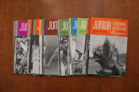 1946-1949 JUNIOR NATURAL HISTORY MAGAZINE - LOT OF 36 - O 3926