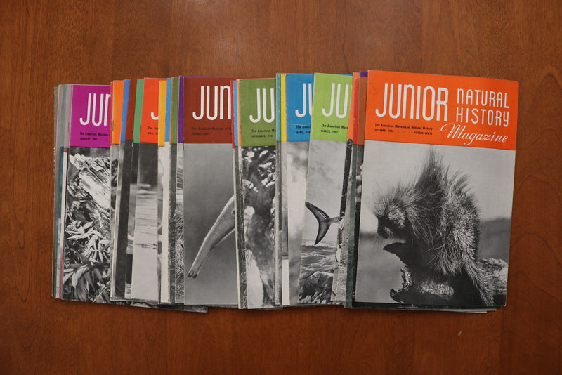 1946-1949 JUNIOR NATURAL HISTORY MAGAZINE - LOT OF 36 - O 3926