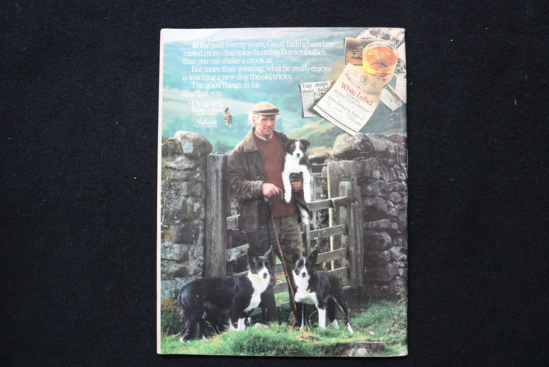 1988 FEBRUARY 29 NEW YORKER MAGAZINE - GREAT ILLUSTRATED COVER - NY 3304