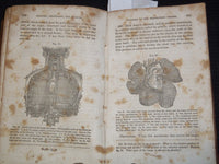 1853 A TREATISE OF ANATOMY BOOK BY CALVIN CUTTER, M. D - NICE ILLUS. - J 8118