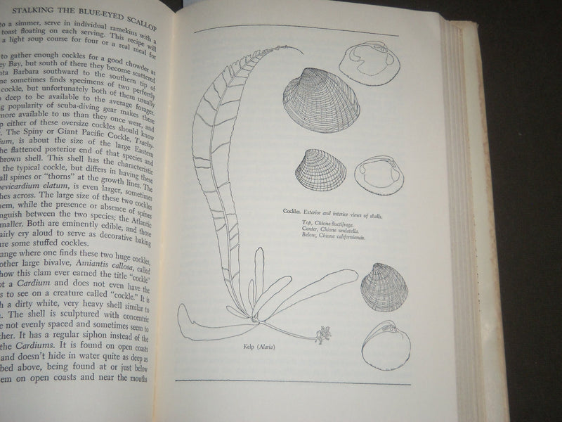 1970 STALKING THE BLUE-EYED SCALLOP BY EUELL GIBBONS SIXTH PRINTING - KD 4389