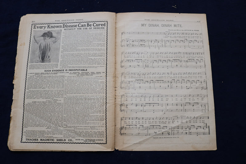 1907 OCTOBER THE AMERICAN HOME NEWSPAPER - NICE ILLUSTRATED COVER - NP 8691