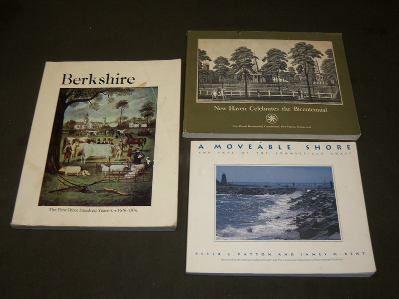 ASSORTED CONNECTICUT & NEW ENGLAND BOOK LOT OF 24 - R 906