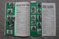 1959 MUSSER FOREST INC. CATALOG - INDIANA, PENNSYLVANIA - SOFTCOVER - K 3462