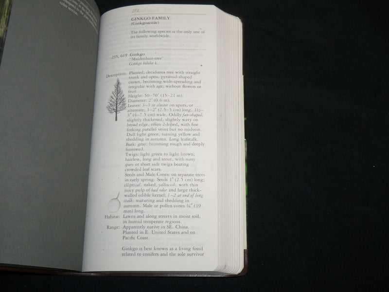 1998 NATIONAL AUDUBON SOCIETY FIELD GUIDE TO NORTH AMERICAN TREES BOOK - KD 7191