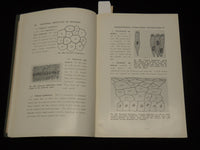 1924 TISSUES OF THE BODY LESSON 19 - SCIENCE & PRACTICE OF NURSING - K 555