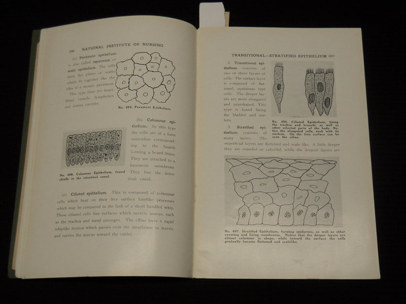1924 TISSUES OF THE BODY LESSON 19 - SCIENCE & PRACTICE OF NURSING - K 555
