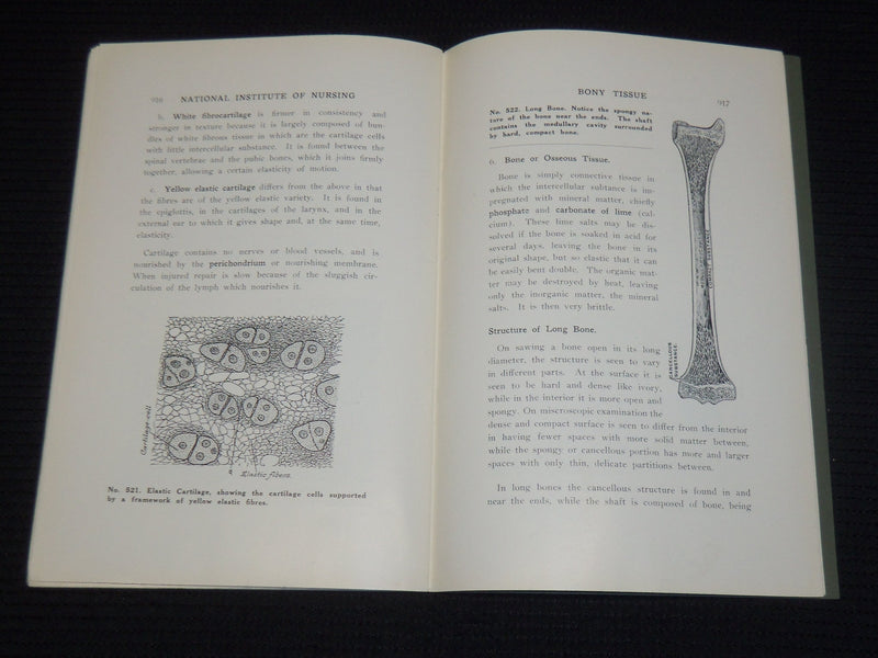 1924 TISSUES OF THE BODY LESSON 19 - SCIENCE & PRACTICE OF NURSING - K 555