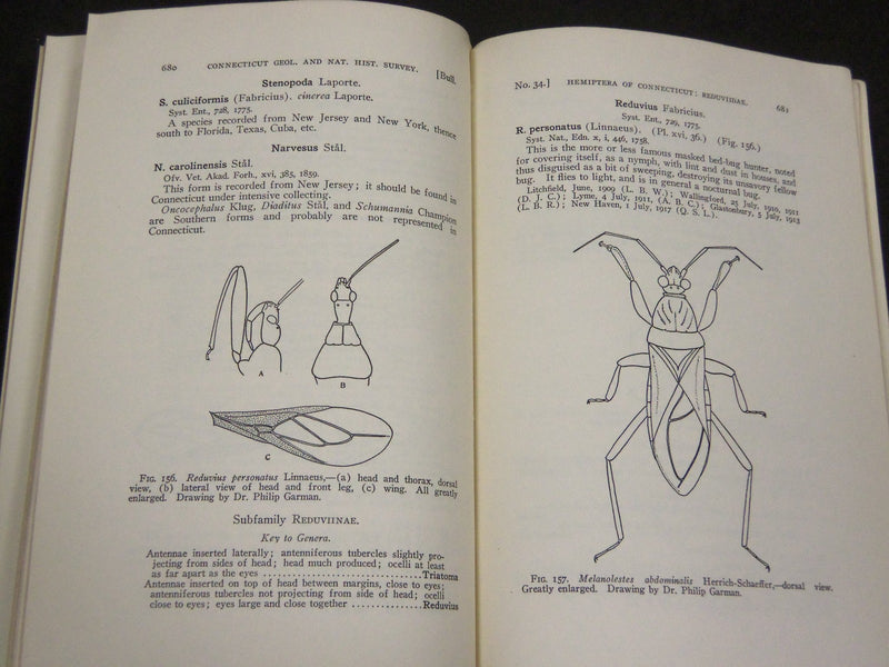 1923 GUIDE TO THE INSECTS OF CONNECTICUT BULLETIN NO. 34 - NICE ILLUS. - KD 988