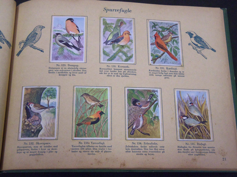1940'S DANMARKS SERIE FRA FUGLENES VERDEN BIRDS TOBACCO CARDS ALBUM - KD 3188