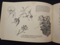 1995 SKETCHING WITH A PENCIL SOFTCOVER BOOK - JOHN HAMILTON INSCRIBED - J 8410