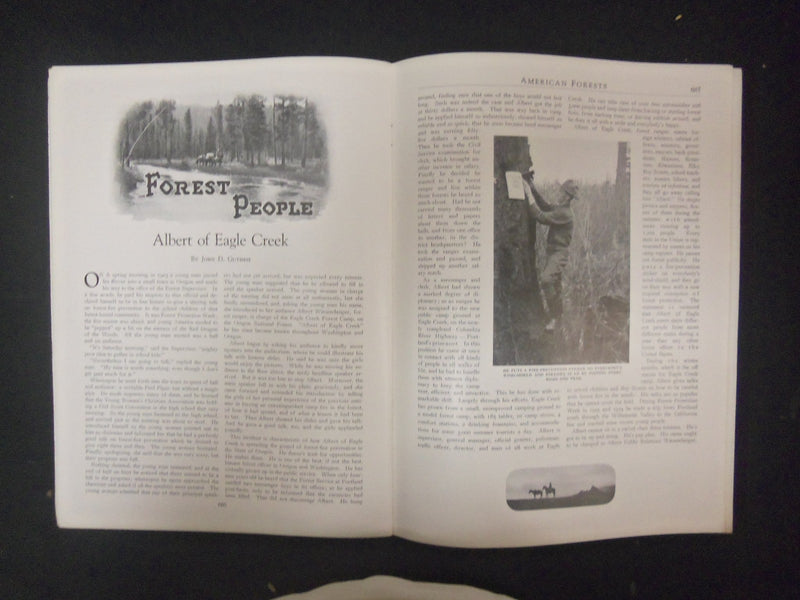 1924 NOVEMBER AMERICAN FORESTS & FOREST LIFE MAGAZINE - ST 4608