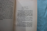 1885 THE YOUNG WILD FLOWERS HARDCOVER BOOK BY HARRY CASTLEMON - KD 9699